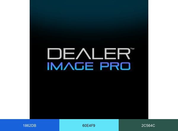 Dealer Image Pro brand color palette