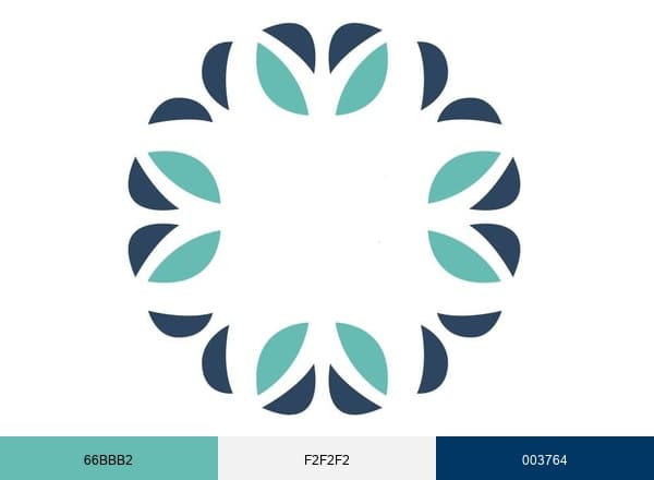 Decor Direct brand color palette