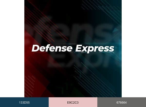 DEFENSE EXPRESS brand color palette