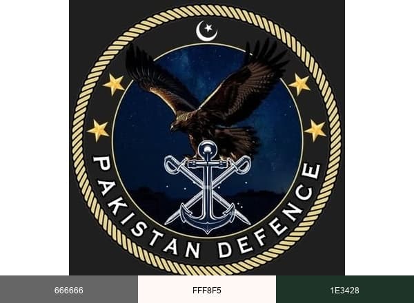 Pakistan Defence brand color palette