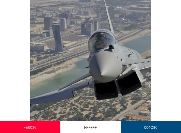 Defense Arabic موقع الدفاع العربي brand color palette