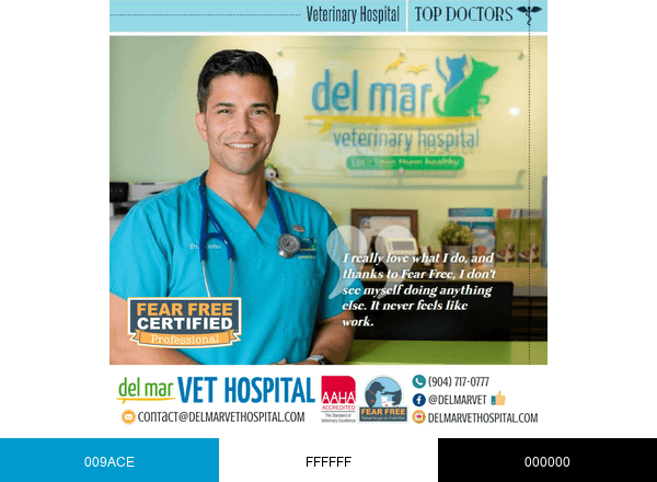 Del Mar Vet Hospital brand color palette
