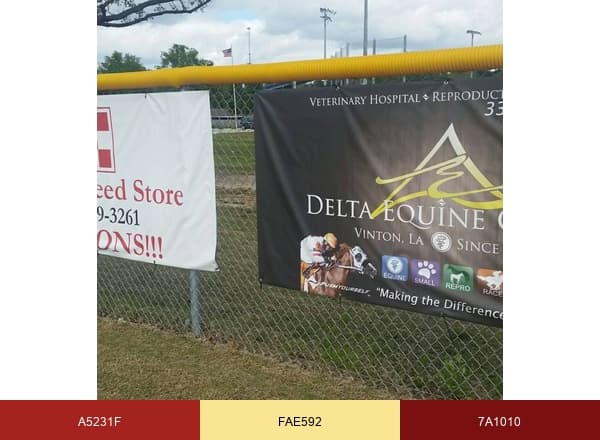 Delta Equine Center brand color palette