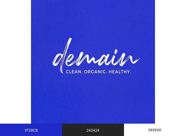 Demain Beauty brand color palette