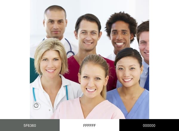 Dependable Care Staffing brand color palette