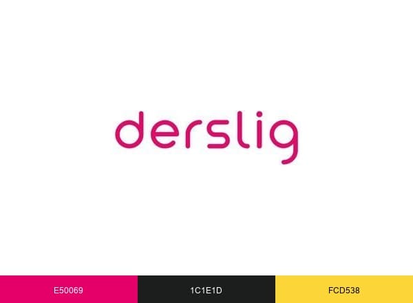 DersLig brand color palette