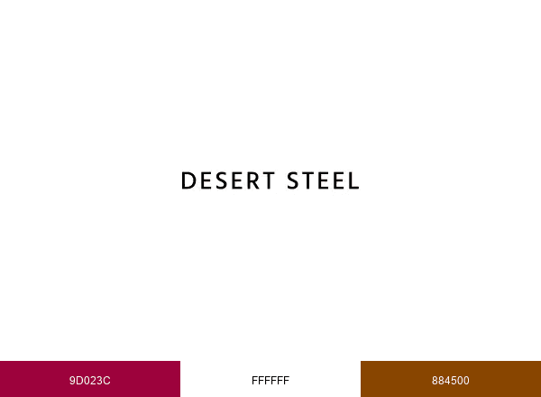 Desert Steel brand color palette