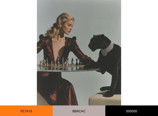 DiaMondaine Club brand color palette