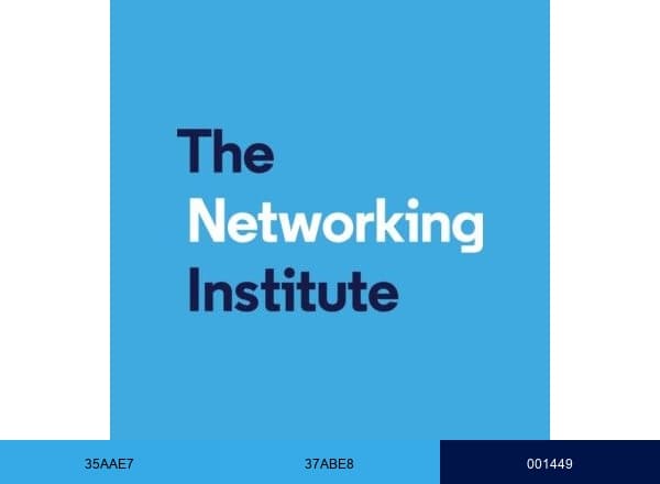 The Networking Institute brand color palette