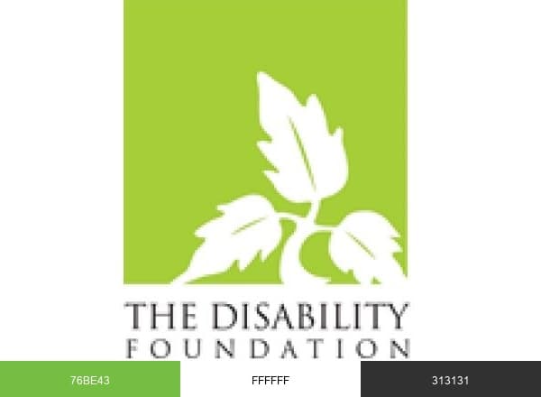 The Disability Foundation brand color palette