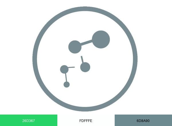 Disnomia Formación brand color palette