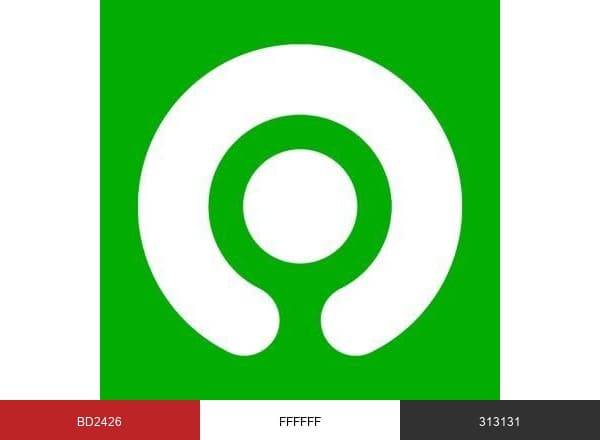 Gojek Indonesia brand color palette