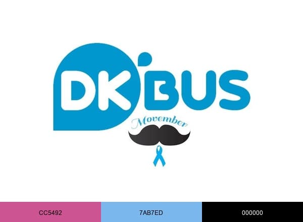 DK'BUS brand color palette
