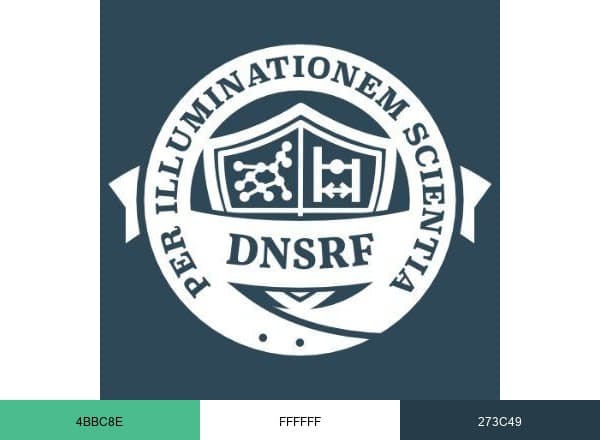 DNS Research Federation brand color palette