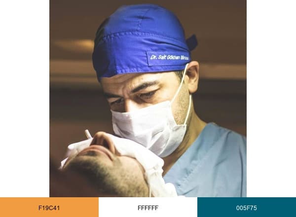 Doctor Bircan brand color palette