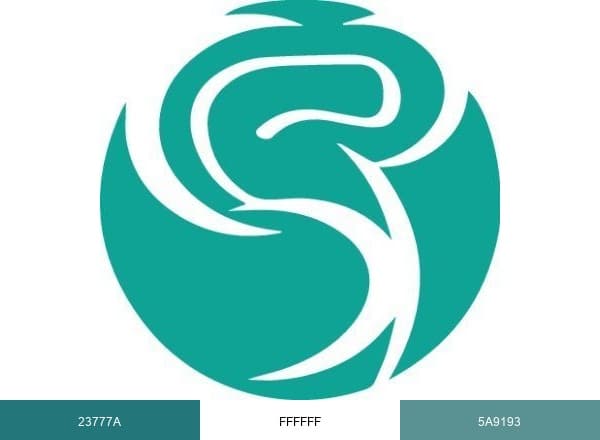 Dr. Physio Therapy & Wellness brand color palette