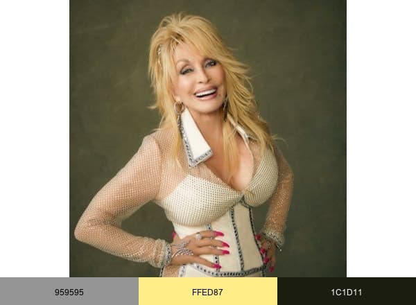Dolly Parton brand color palette