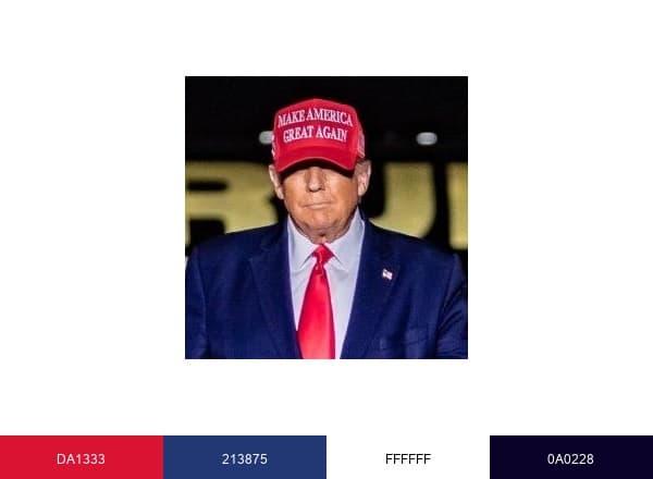Donal J Trump brand color palette