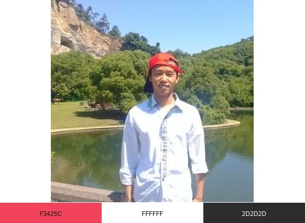 DonchillinShowcase brand color palette