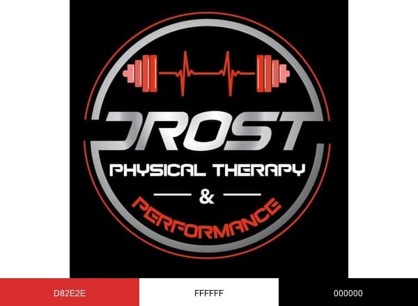 Drost Physical Therapy & Performance brand color palette