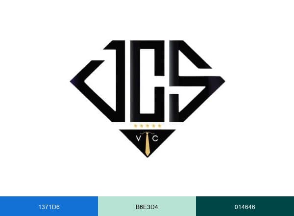 𝑺𝑨𝑺  𝑫.𝑪.𝑺-𝑽𝑻𝑪 brand color palette