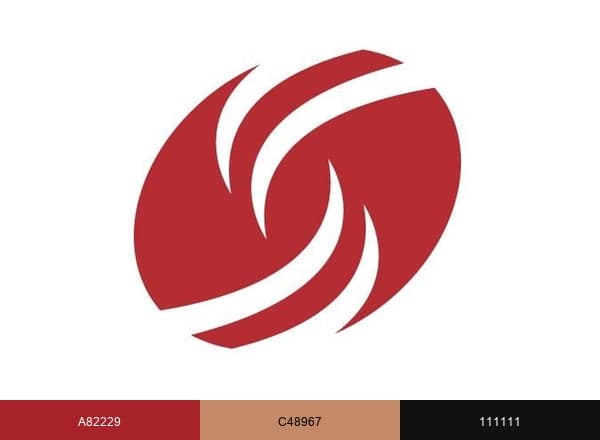 Dress for Success brand color palette