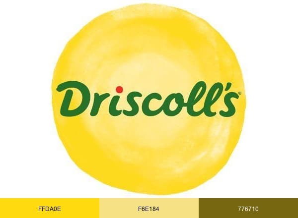 Driscoll's Berries brand color palette