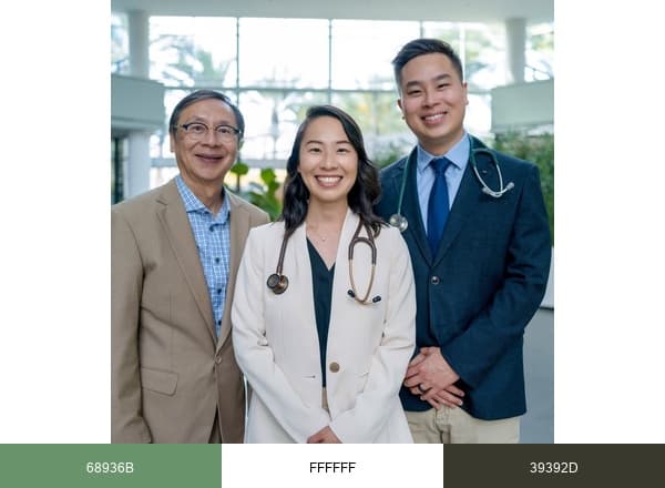 Dr Lam brand color palette