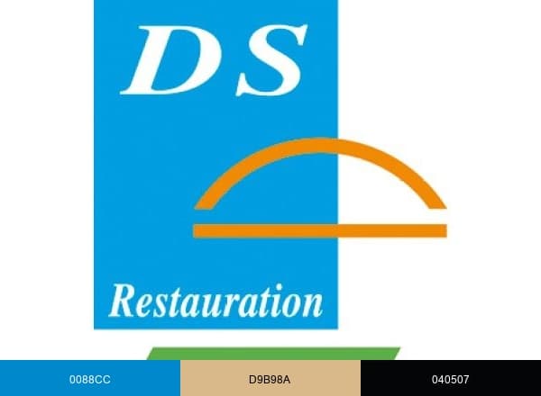 DS RESTAURATION brand color palette