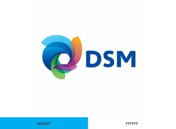 DSM brand color palette
