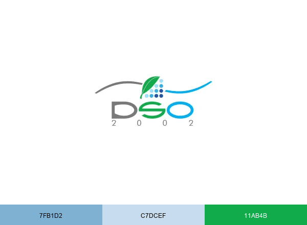 DSO2002 FRANCE brand color palette