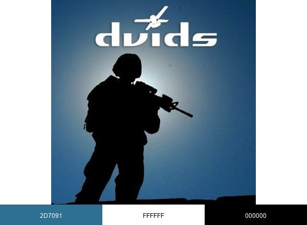 DVIDSHub brand color palette