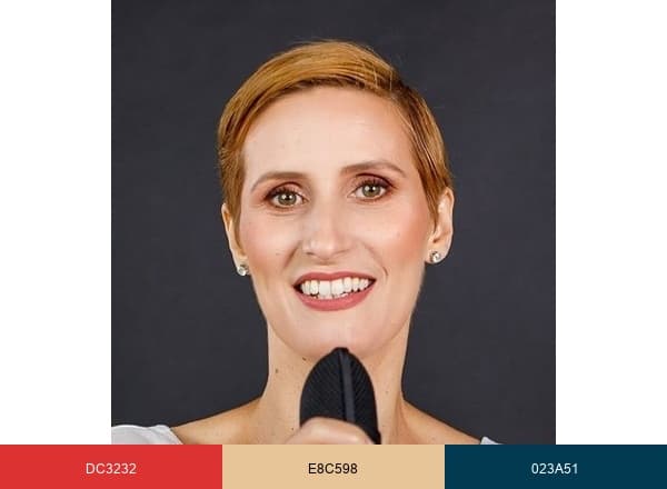 Eagle Consult&Services brand color palette