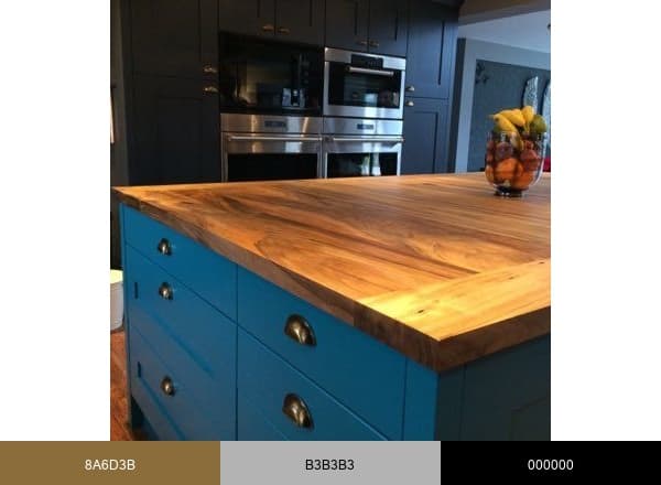 Earthy Design brand color palette
