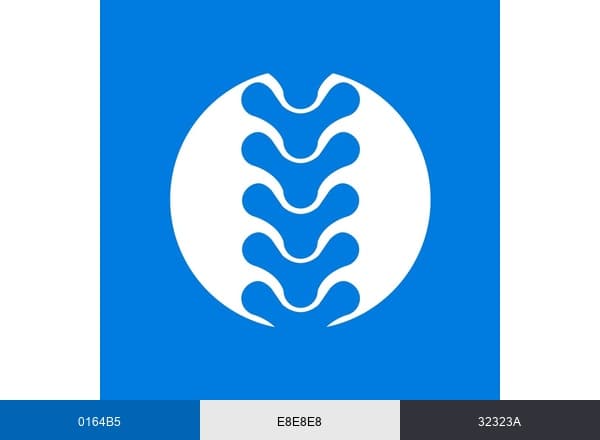 East Bay Chiropractic Wellness P.C. | Bellmore NY brand color palette