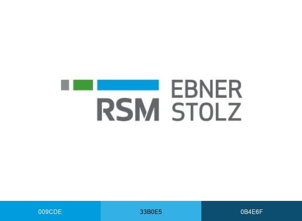 RSM Ebner Stolz brand color palette