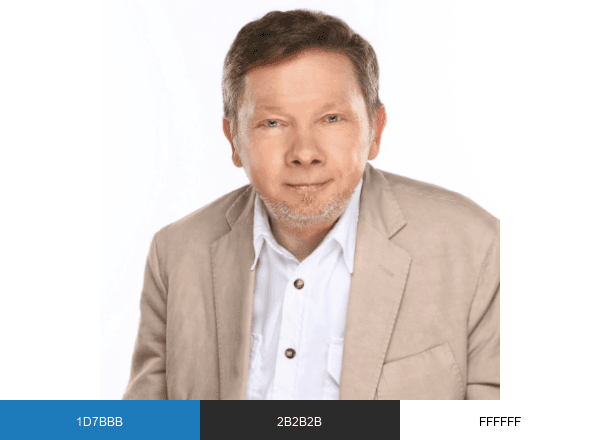 Eckhart Tolle Foundation brand color palette