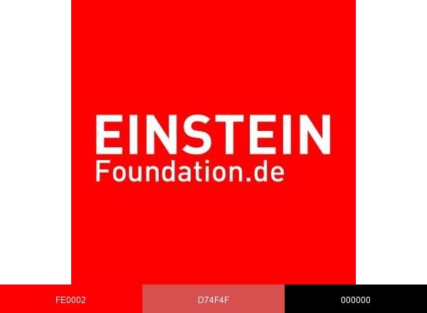 Einstein Foundation Berlin brand color palette