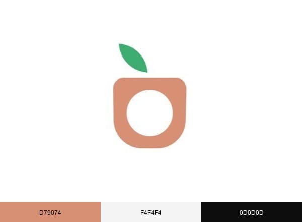 Ekòndò brand color palette