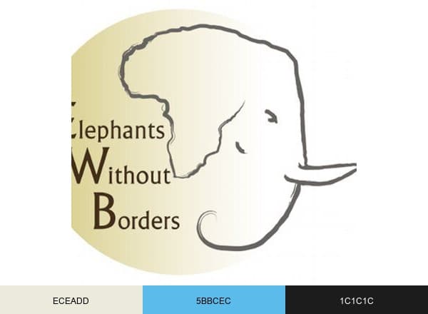 ElephantsWoutBorders brand color palette