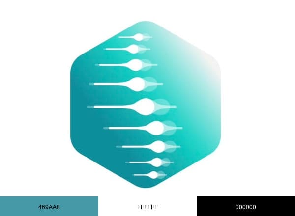 Elit Ortopedi brand color palette