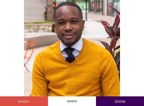 Emmanuel Osemota brand color palette
