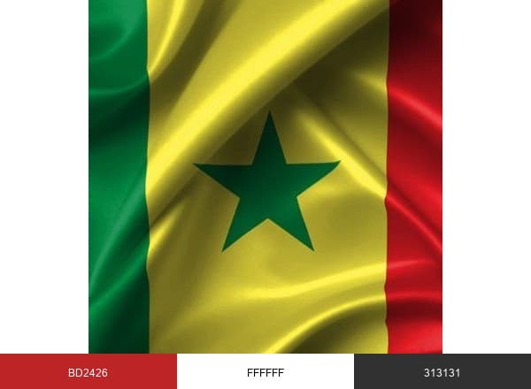 Emploi Dakar brand color palette