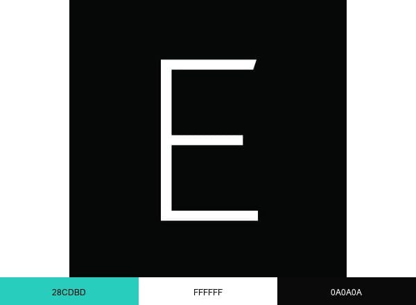 Endeavor brand color palette