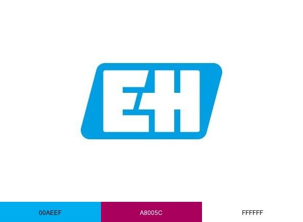 Endress+Hauser Group brand color palette