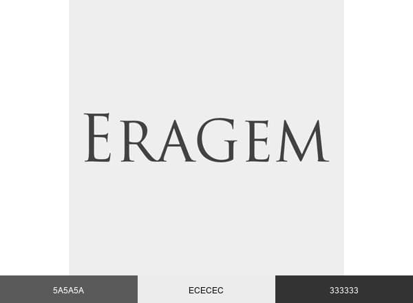 EraGem brand color palette