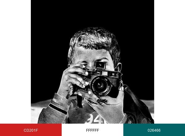 ESCAPE GREECE brand color palette