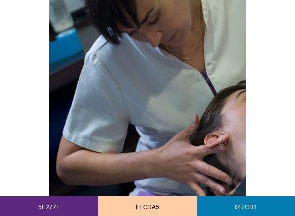 Eskuz Fisioterapia brand color palette