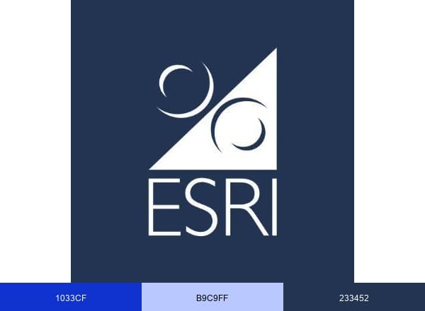 Economic and Social Research Institute brand color palette