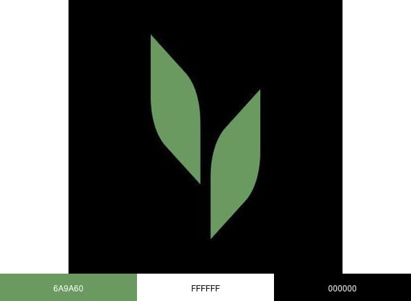 Eucalyptus Labs brand color palette